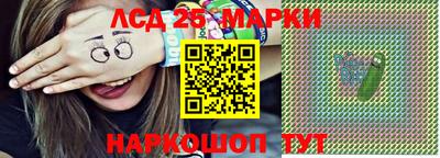 дживик Кандалакша