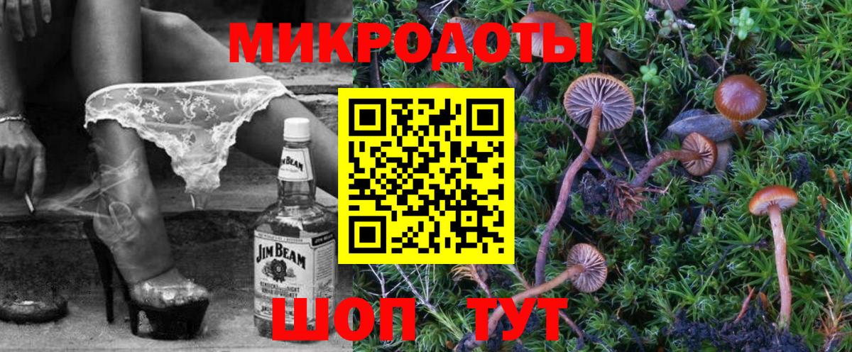 Галлюциногенные грибы Psilocybe  Вход с VPN  купить  цена  Вольск 